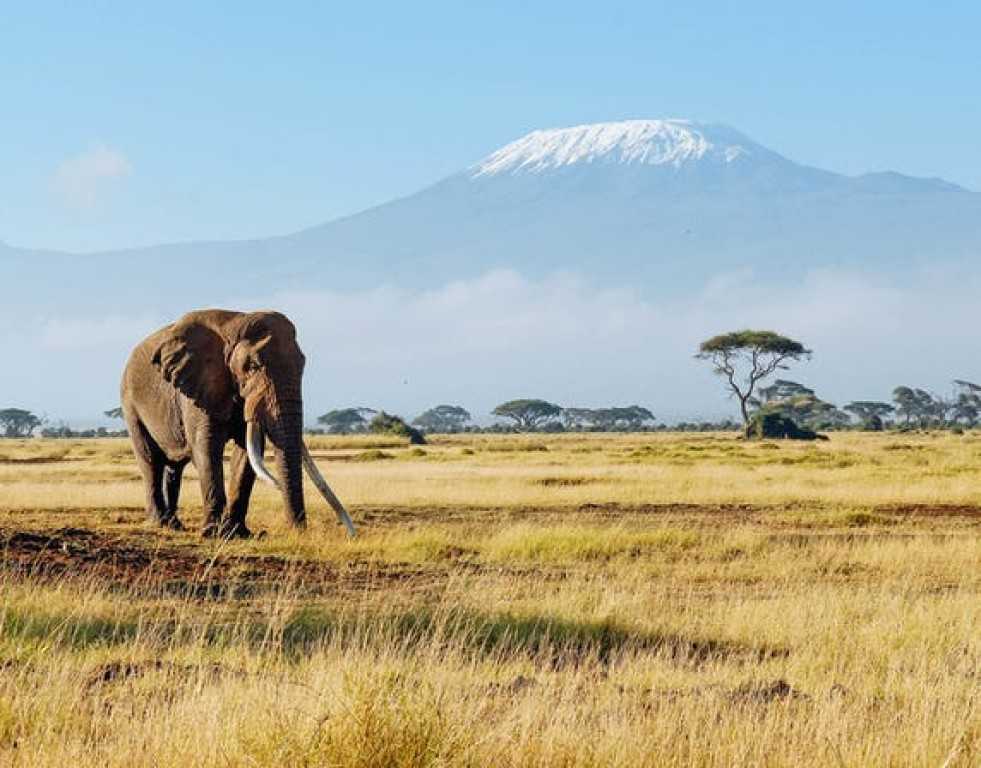 9 days 8 nights Kenya and Tanzania Safari,18,2