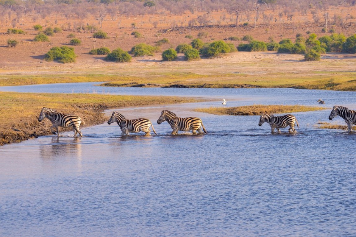 8  Days Tanzania Wildlife Safari and Cultural Tour
