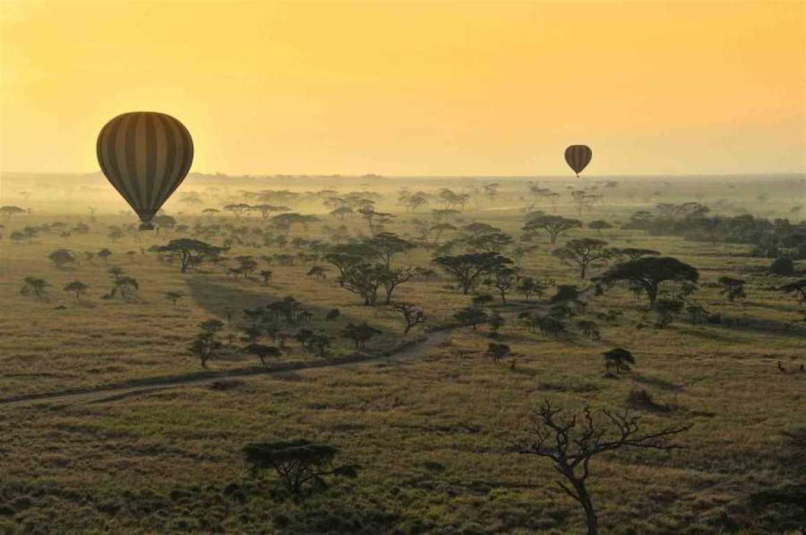 Tanzania Tours & Safari Packages